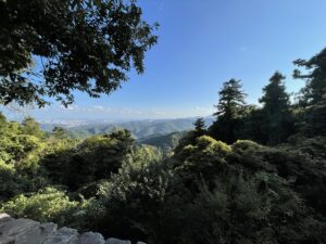 ありです⛰️