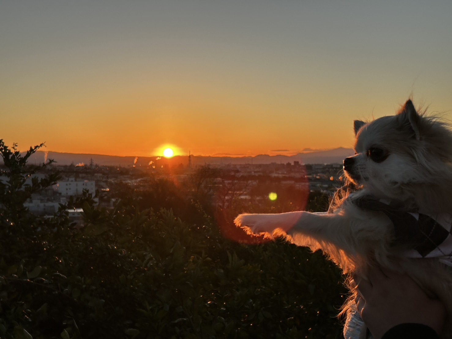 あけましておめでとうございます🌅 - 新橋 スナック CARAT UTAGE 宴