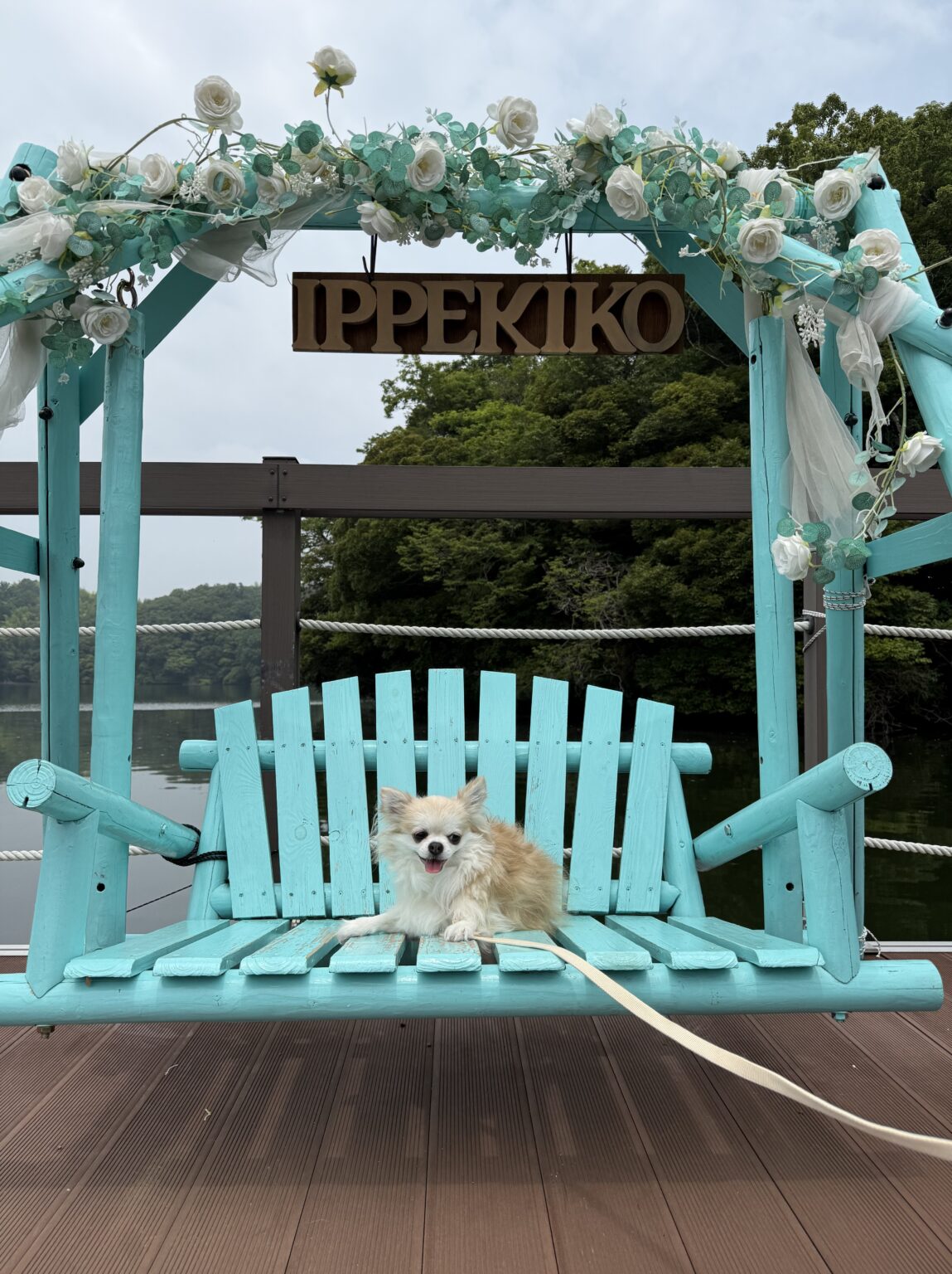 りさです！🐶 - 新橋 スナック CARAT UTAGE 宴