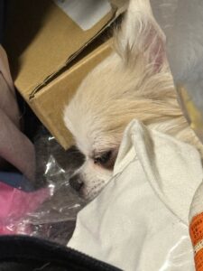 りさです☔️