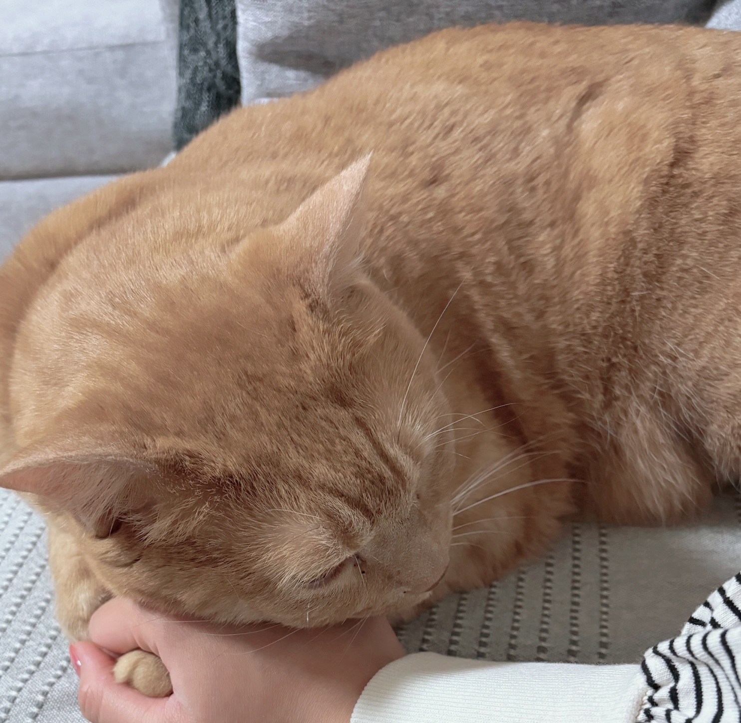 あゆみです♩ - 新橋 スナック CARAT UTAGE 宴