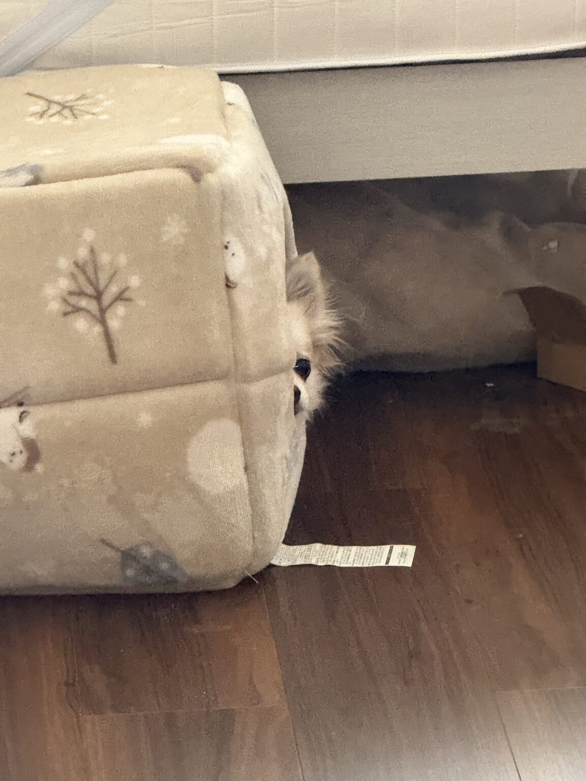 りさです - 新橋 スナック CARAT UTAGE 宴