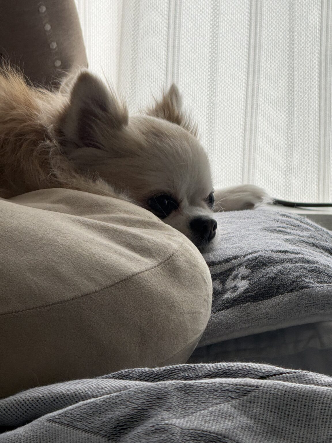 りさです☀️ - 新橋 スナック CARAT UTAGE 宴