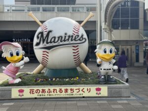 りさです⚾️