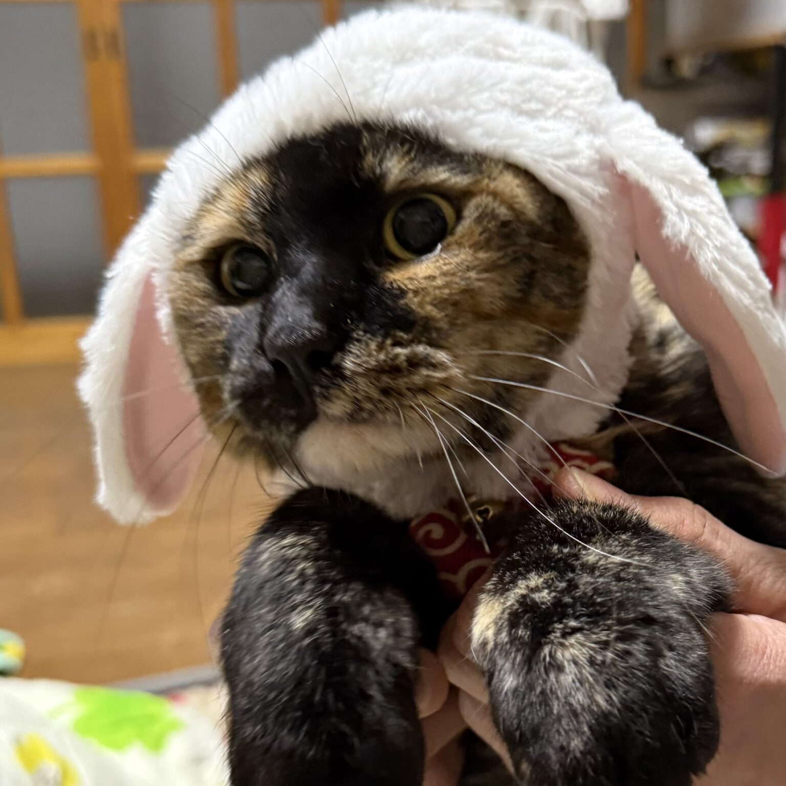 ココです⭐️ - 新橋 スナック CARAT UTAGE 宴