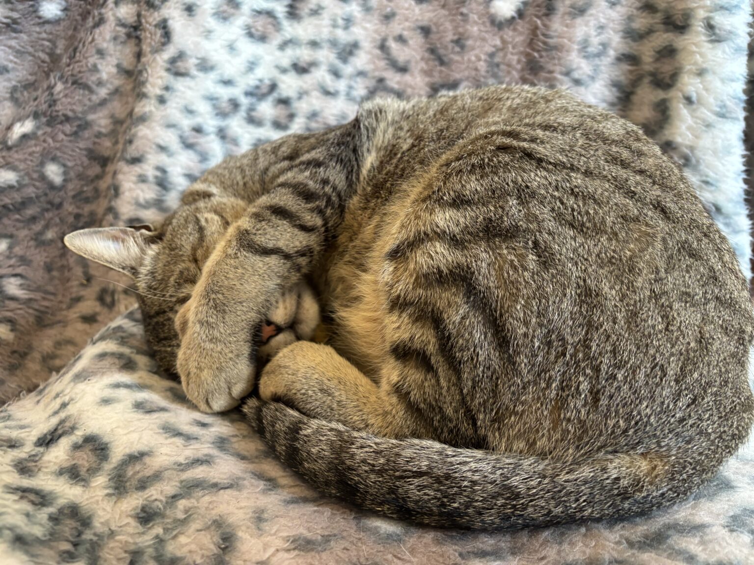 あゆみです♩ - 新橋 スナック CARAT UTAGE 宴