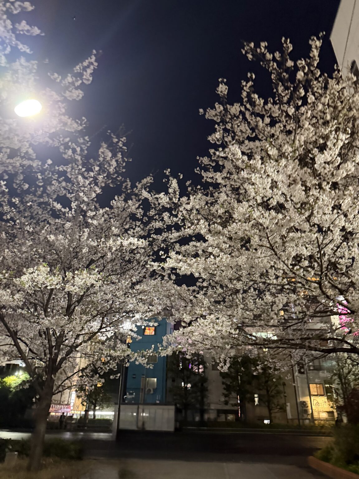 ココです⭐️ - 新橋 スナック CARAT UTAGE 宴