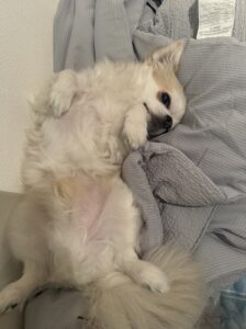 りさです🫶