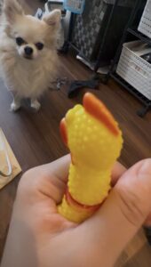 りさです🐶
